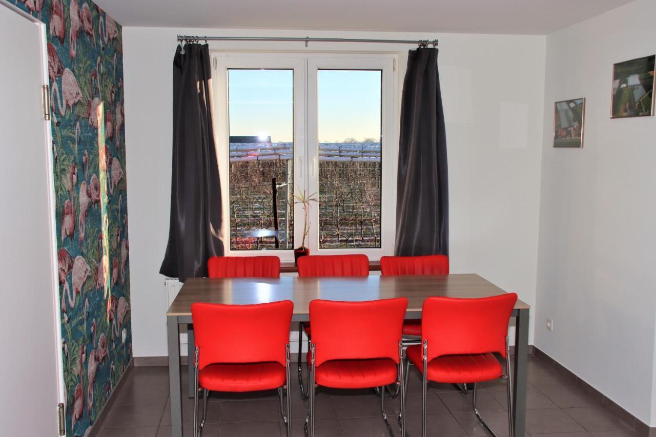 Ferienwohnung Juwel Fruithof Zepperen Exterior foto